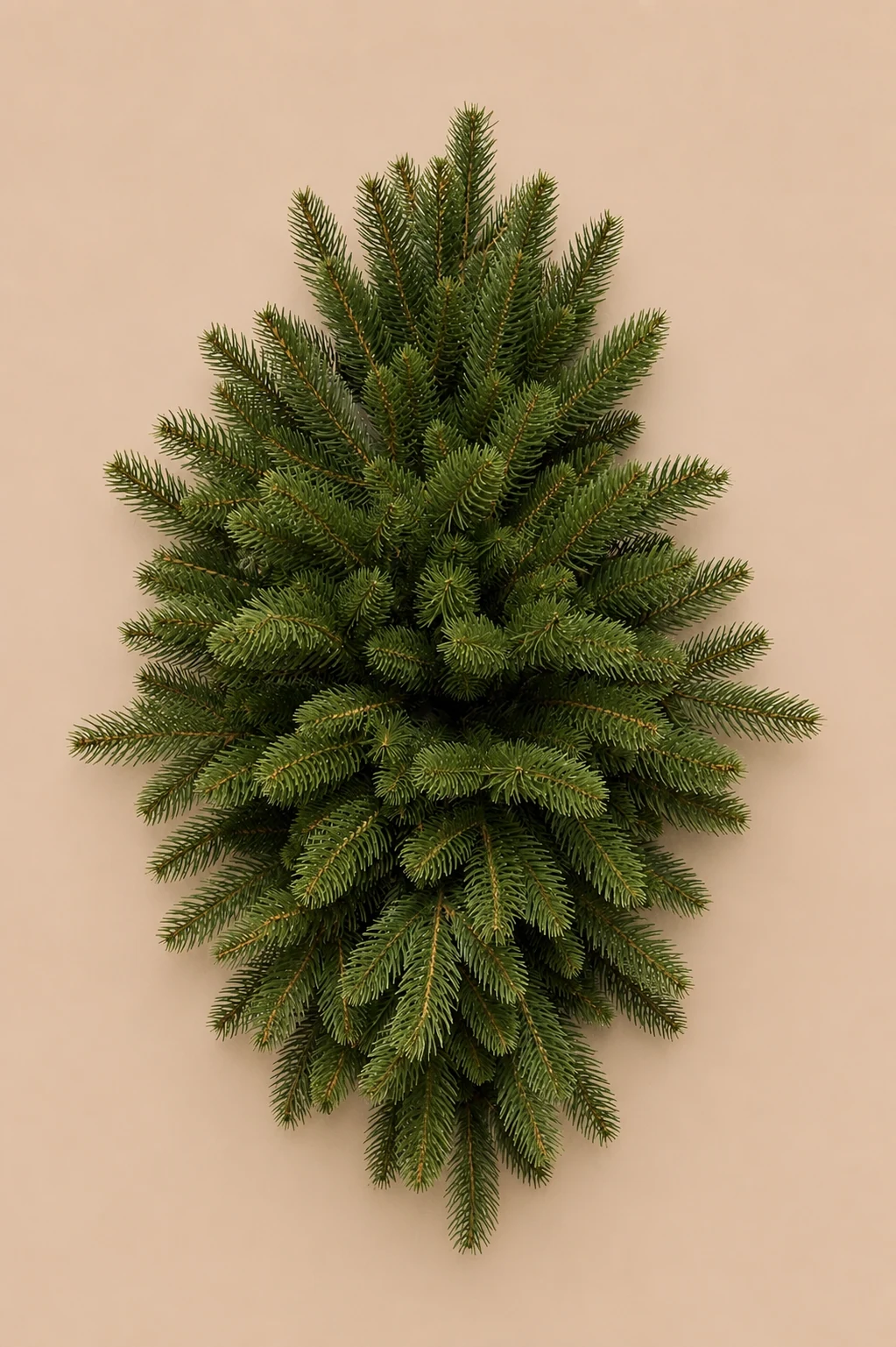 Новорічна ікебана Foresterra